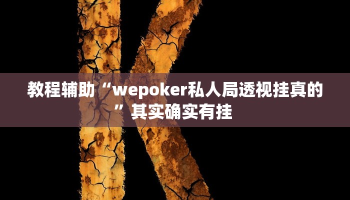 辅助神器“Hhpoker透视挂”附开挂脚本