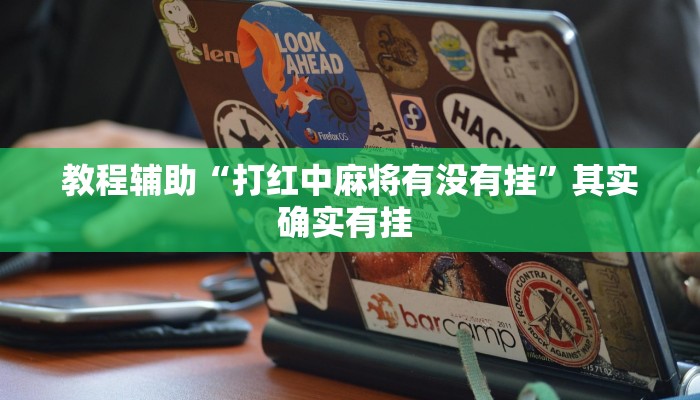 教程辅助“老友十三水辅助挂”(详细开挂教程)