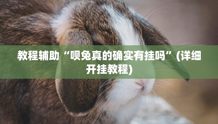 辅助神器“福建兄弟十三水开挂教程”附开挂脚本 辅助神器“福建兄弟十三水开挂教程”附开挂脚本