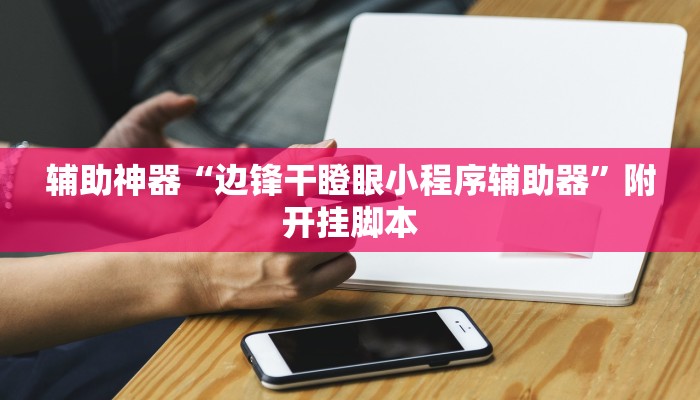 辅助神器“洋洋挖花开挂神器”附开挂脚本