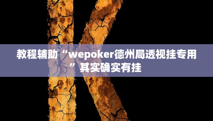 教程辅助“wepoker德州局透视挂专用”其实确实有挂 