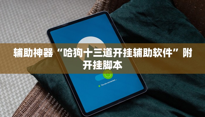 万能开挂辅助“边锋斗地主外卦”分享必要外挂教程