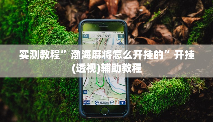 实测教程”渤海麻将怎么开挂的”开挂(透视)辅助教程 实测教程”渤海麻将怎么开挂的”开挂(透视)辅助教程