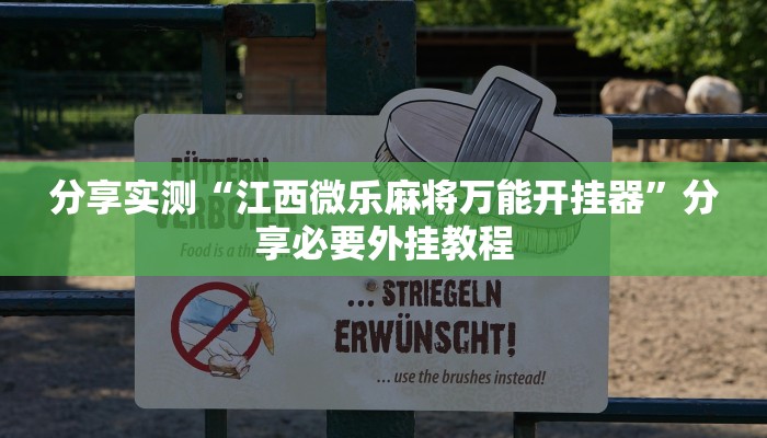 辅助神器“新海贝之城怎么开挂教程”开挂(透视)辅助教程