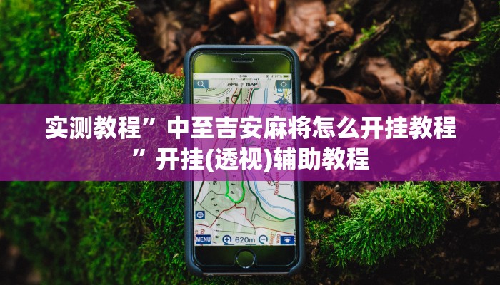 辅助神器“微乐刨幺开挂作弊是真的吗”详细教程辅助工具 辅助神器“微乐刨幺开挂作弊是真的吗”详细教程辅助工具