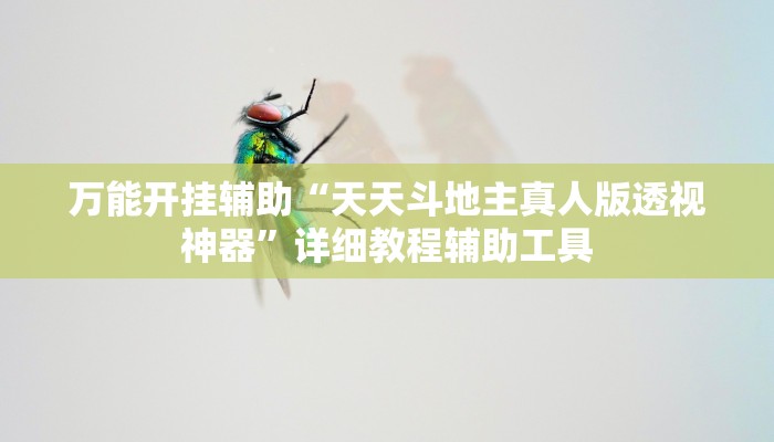 万能开挂辅助“天天斗地主真人版透视神器”详细教程辅助工具