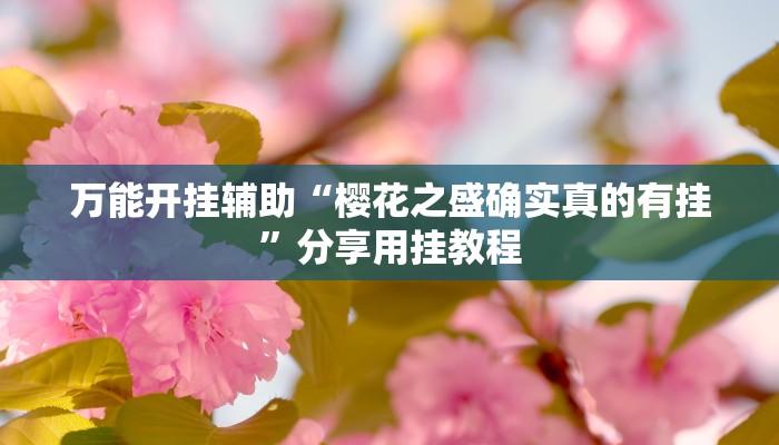 辅助神器“欢汇娱乐辅助器”分享用挂教程