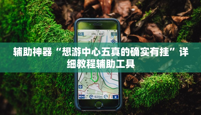 辅助神器“想游中心五真的确实有挂”详细教程辅助工具 辅助神器“想游中心五真的确实有挂”详细教程辅助工具