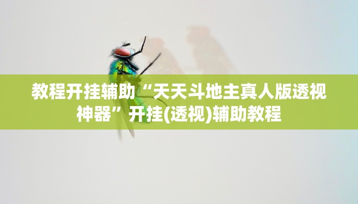 辅助神器“微乐福建麻将开挂下载安装”分享用挂教程 辅助神器“微乐福建麻将开挂下载安装”分享用挂教程