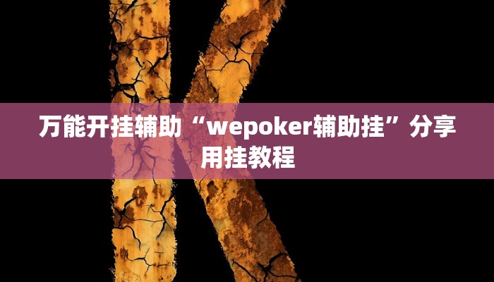 万能开挂辅助“wepoker辅助挂”分享用挂教程