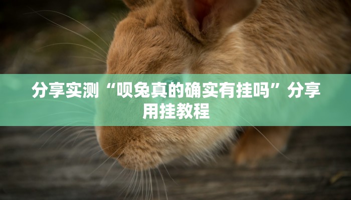 辅助神器“wepoker透视挂安装”附开挂脚本 辅助神器“wepoker透视挂安装”附开挂脚本