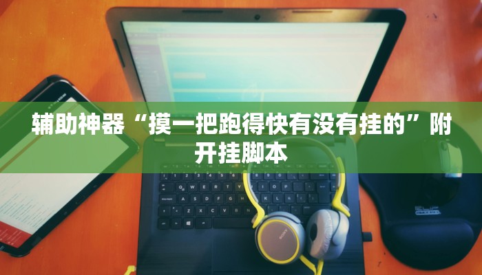 分享实测“皮皮跑得快可以开挂吗”分享必要外挂教程