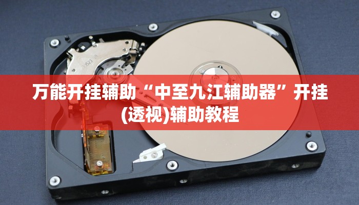 辅助神器“至尊互娱有没有挂”附开挂脚本