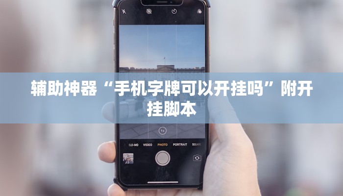 辅助神器“丽水都菜开挂神器”分享用挂教程