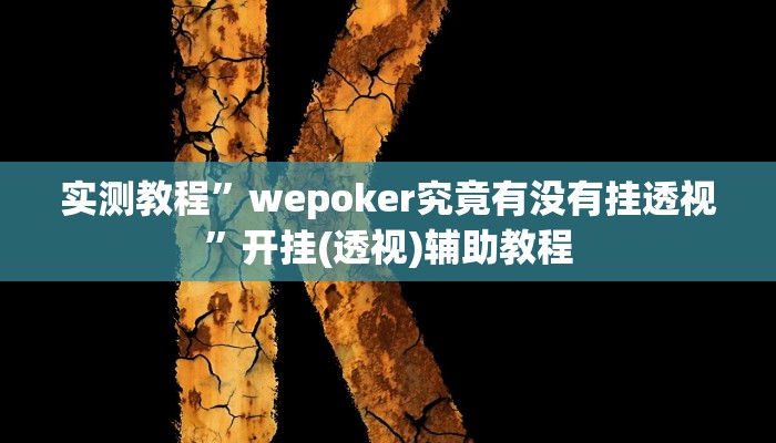 辅助开挂工具“德州wepoker作弊透视开挂辅助挂”详细教程辅助工具