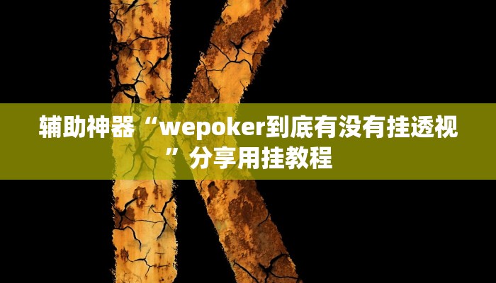 辅助神器“wepoker到底有没有挂透视”分享用挂教程