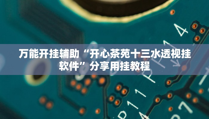 万能开挂辅助“开心茶苑十三水透视挂软件”分享用挂教程