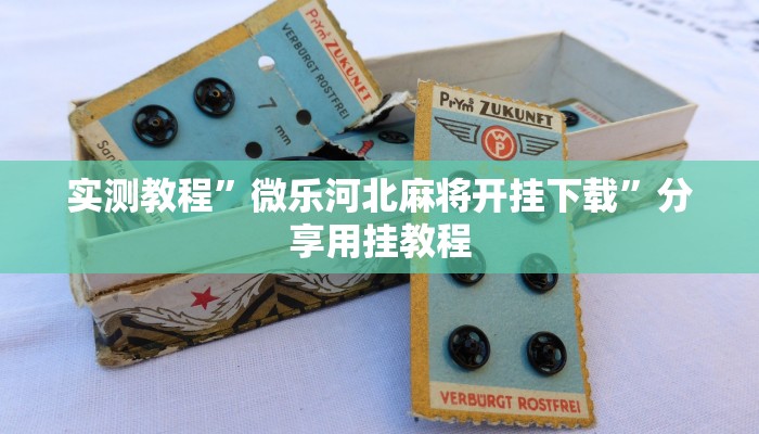 实测教程”微乐河北麻将开挂下载”分享用挂教程 实测教程”微乐河北麻将开挂下载”分享用挂教程