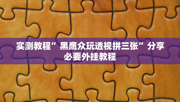 实测教程”黑鹰众玩透视拼三张”分享必要外挂教程