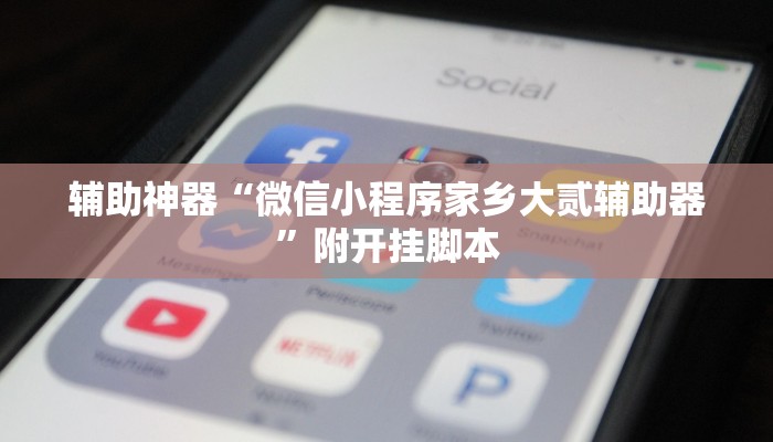 辅助神器“微信小程序家乡大贰辅助器”附开挂脚本