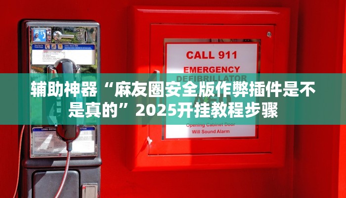 辅助神器“亲友局麻将可以开挂吗”附开挂脚本