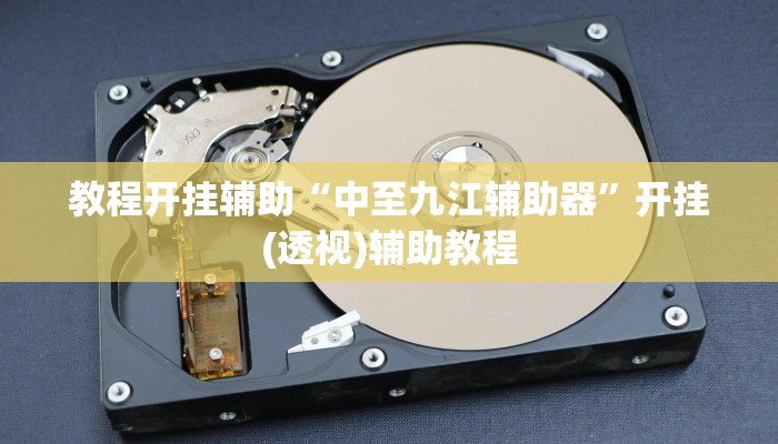 万能开挂辅助“呼伦贝尔麻将确实真的有挂”2025开挂教程步骤 万能开挂辅助“呼伦贝尔麻将确实真的有挂”2025开挂教程步骤