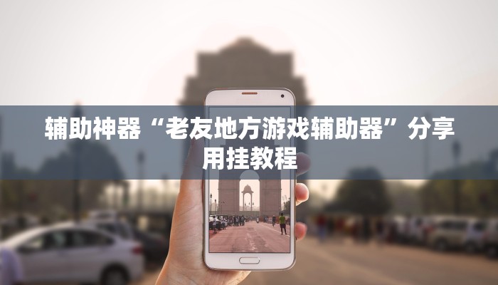辅助神器“老友地方游戏辅助器”分享用挂教程