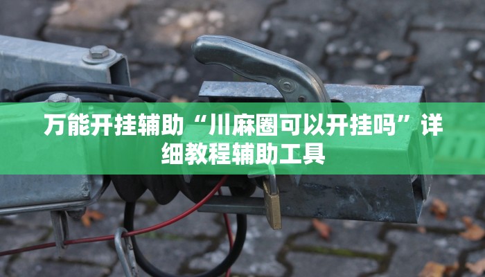 万能开挂辅助“川麻圈可以开挂吗”详细教程辅助工具 万能开挂辅助“川麻圈可以开挂吗”详细教程辅助工具