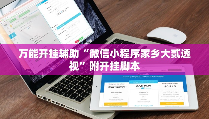 万能开挂辅助“微信小程序家乡大贰透视”附开挂脚本 万能开挂辅助“微信小程序家乡大贰透视”附开挂脚本