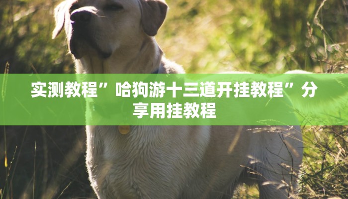 辅助神器“情怀古诗词麻将确实真的有挂”分享用挂教程 辅助神器“情怀古诗词麻将确实真的有挂”分享用挂教程