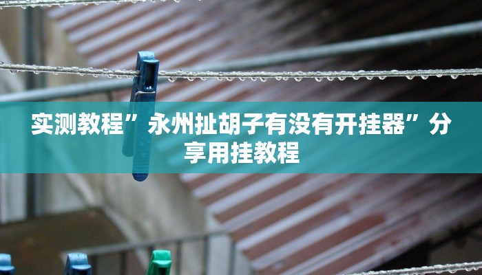 实测教程”永州扯胡子有没有开挂器”分享用挂教程