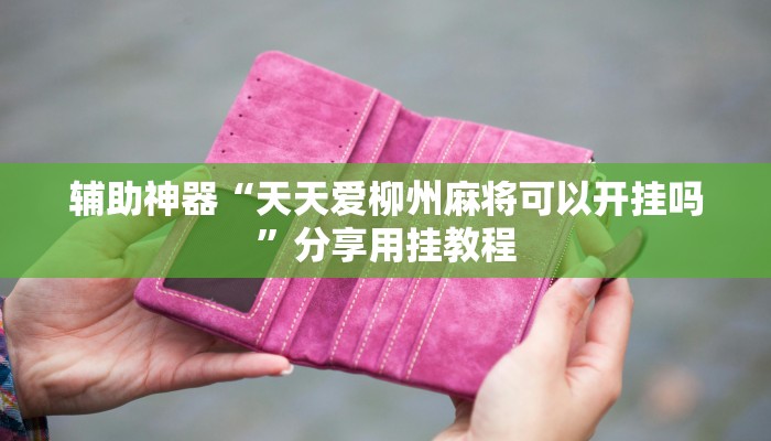 辅助神器“天天爱柳州麻将可以开挂吗”分享用挂教程