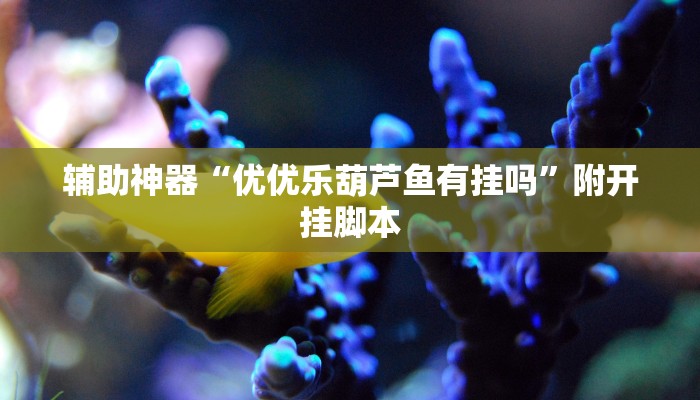 辅助神器“优优乐葫芦鱼有挂吗”附开挂脚本