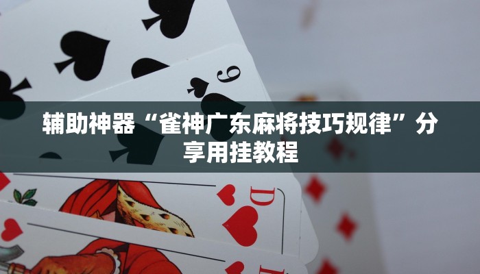 辅助神器“雀神广东麻将技巧规律”分享用挂教程 辅助神器“雀神广东麻将技巧规律”分享用挂教程