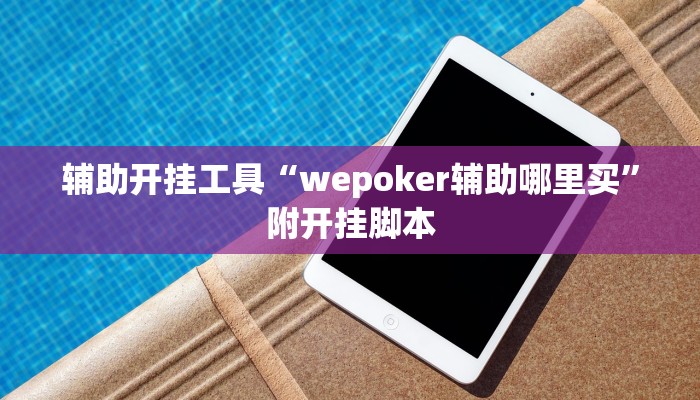 辅助神器“福建兄弟十三水其实真有透视挂”附开挂脚本