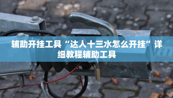 辅助开挂工具“达人十三水怎么开挂”详细教程辅助工具 辅助开挂工具“达人十三水怎么开挂”详细教程辅助工具