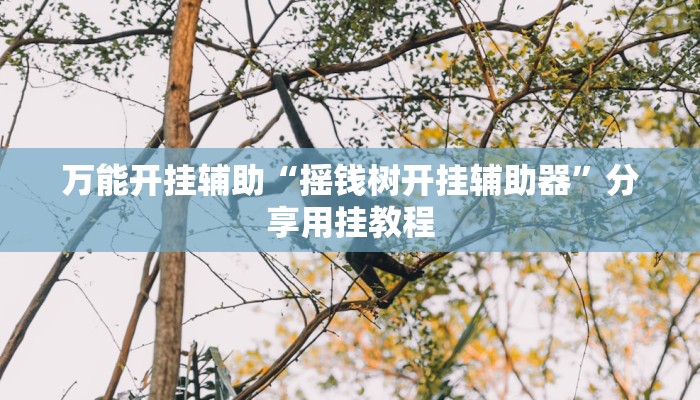 分享实测“微乐山西麻将万能开挂器通用版”附开挂脚本 分享实测“微乐山西麻将万能开挂器通用版”附开挂脚本