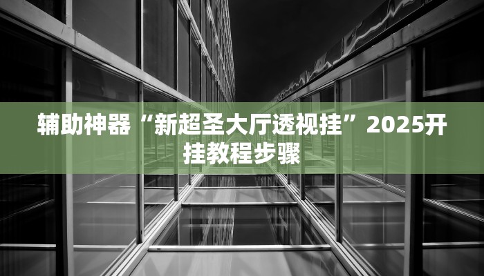 辅助神器“新超圣大厅透视挂”2025开挂教程步骤
