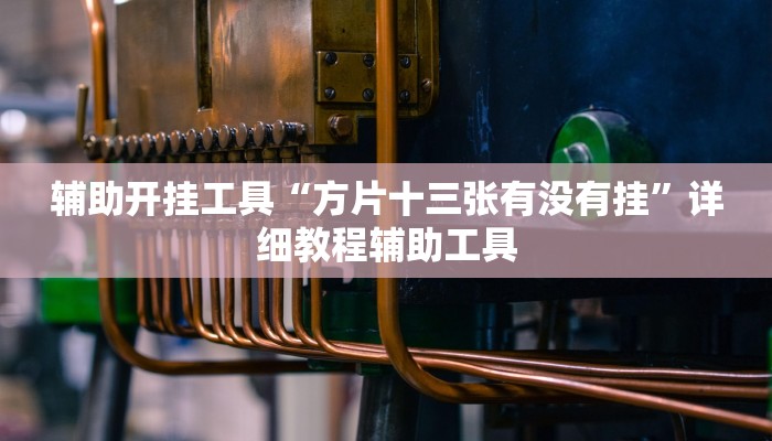 辅助开挂工具“方片十三张有没有挂”详细教程辅助工具 辅助开挂工具“方片十三张有没有挂”详细教程辅助工具