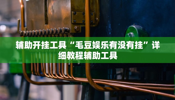 辅助开挂工具“毛豆娱乐有没有挂”详细教程辅助工具