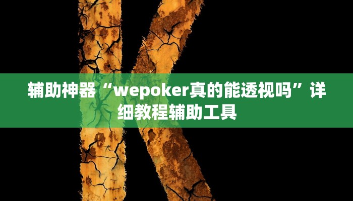 辅助神器“wepoker真的能透视吗”详细教程辅助工具