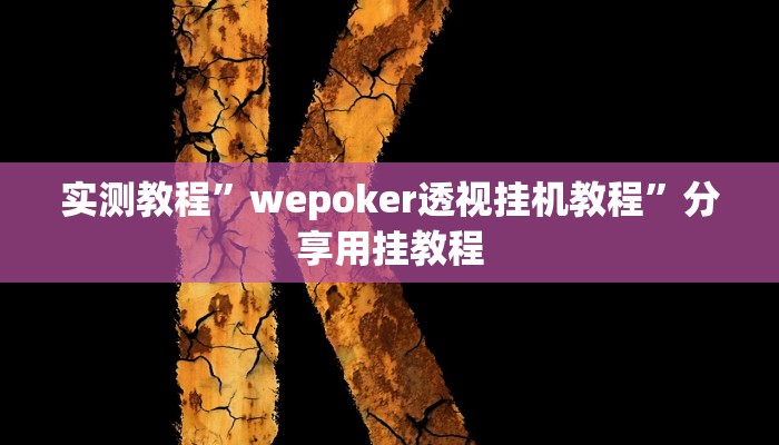 实测教程”wepoker透视挂机教程”分享用挂教程