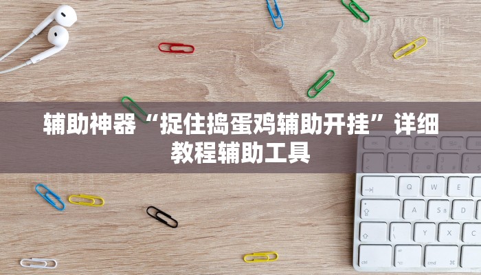 辅助神器“捉住捣蛋鸡辅助开挂”详细教程辅助工具