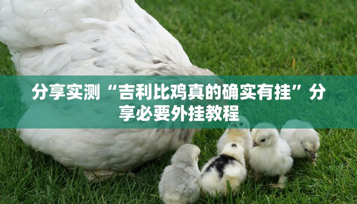 辅助神器“中至鹰潭麻将有挂吗”分享用挂教程