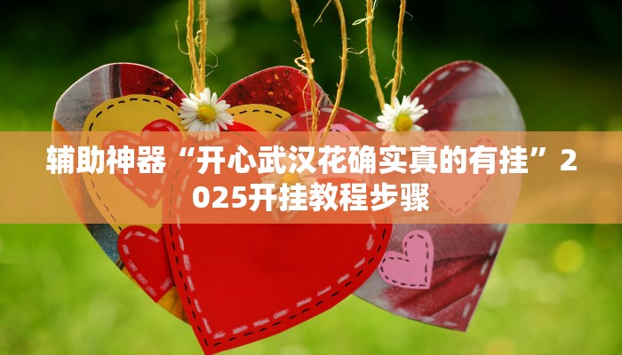 实测教程”乐清十三水开挂教程”开挂(透视)辅助教程