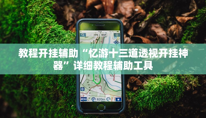 万能开挂辅助“口袋广丰怎么开挂”分享必要外挂教程 万能开挂辅助“口袋广丰怎么开挂”分享必要外挂教程