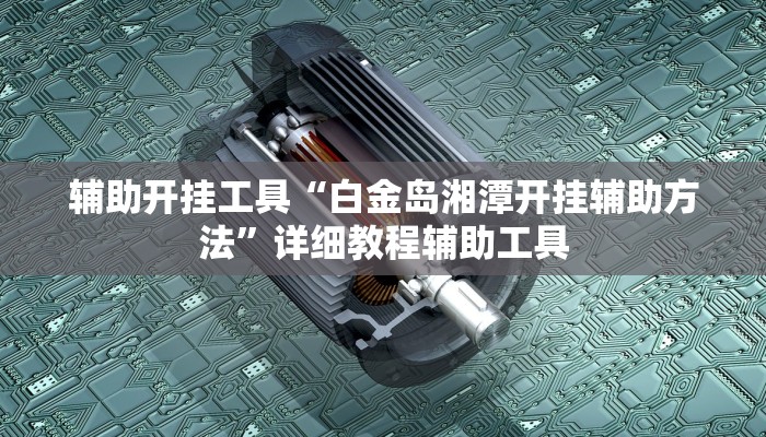 辅助开挂工具“白金岛湘潭开挂辅助方法”详细教程辅助工具