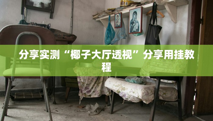 分享实测“椰子大厅透视”分享用挂教程 分享实测“椰子大厅透视”分享用挂教程