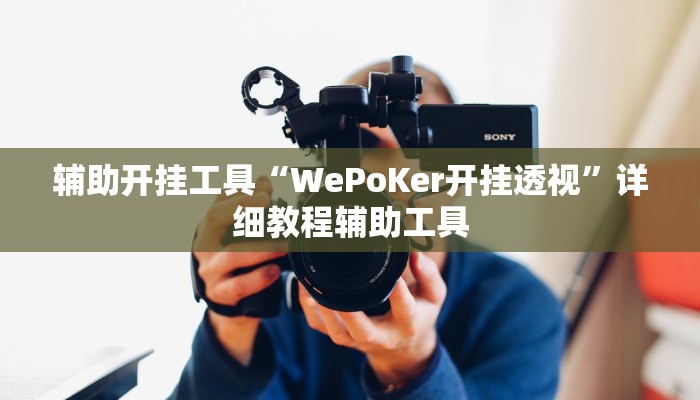 辅助开挂工具“WePoKer开挂透视”详细教程辅助工具 辅助开挂工具“WePoKer开挂透视”详细教程辅助工具