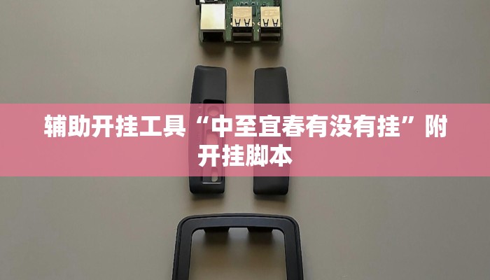 辅助神器“疯狂斗牛王真的确实有挂”详细教程辅助工具